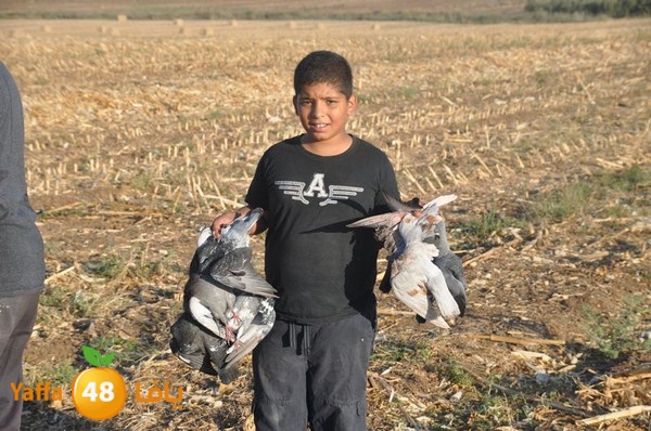 7amam lud monir 908 (57).JPG